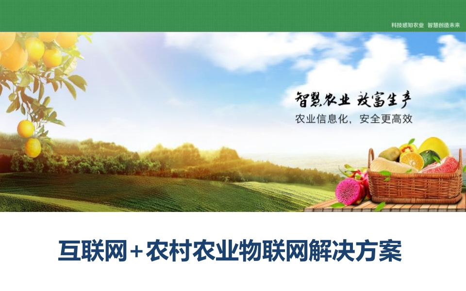 农业物联网解决方案[66页PPT]